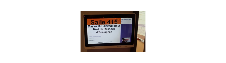 Master Animation et Développement de réseaux d'enseignes - IAE de Lyon