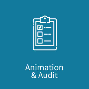 Module Animation &amp; Audit de Synergee