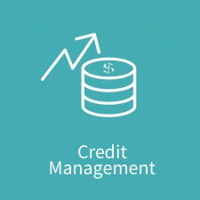 credit management