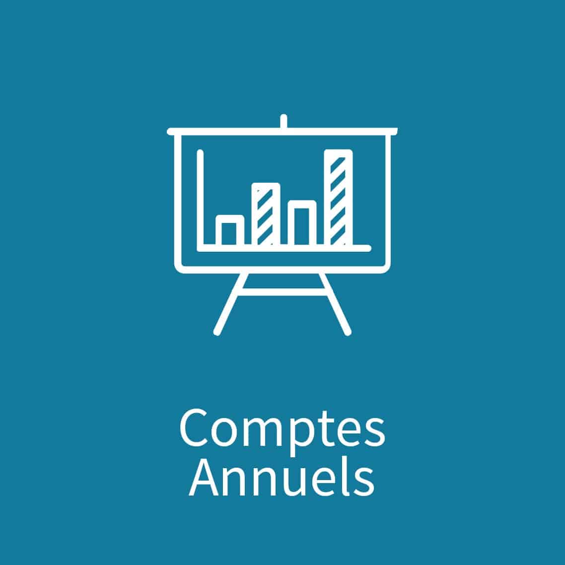 Module Comptes Annuels de Synergee