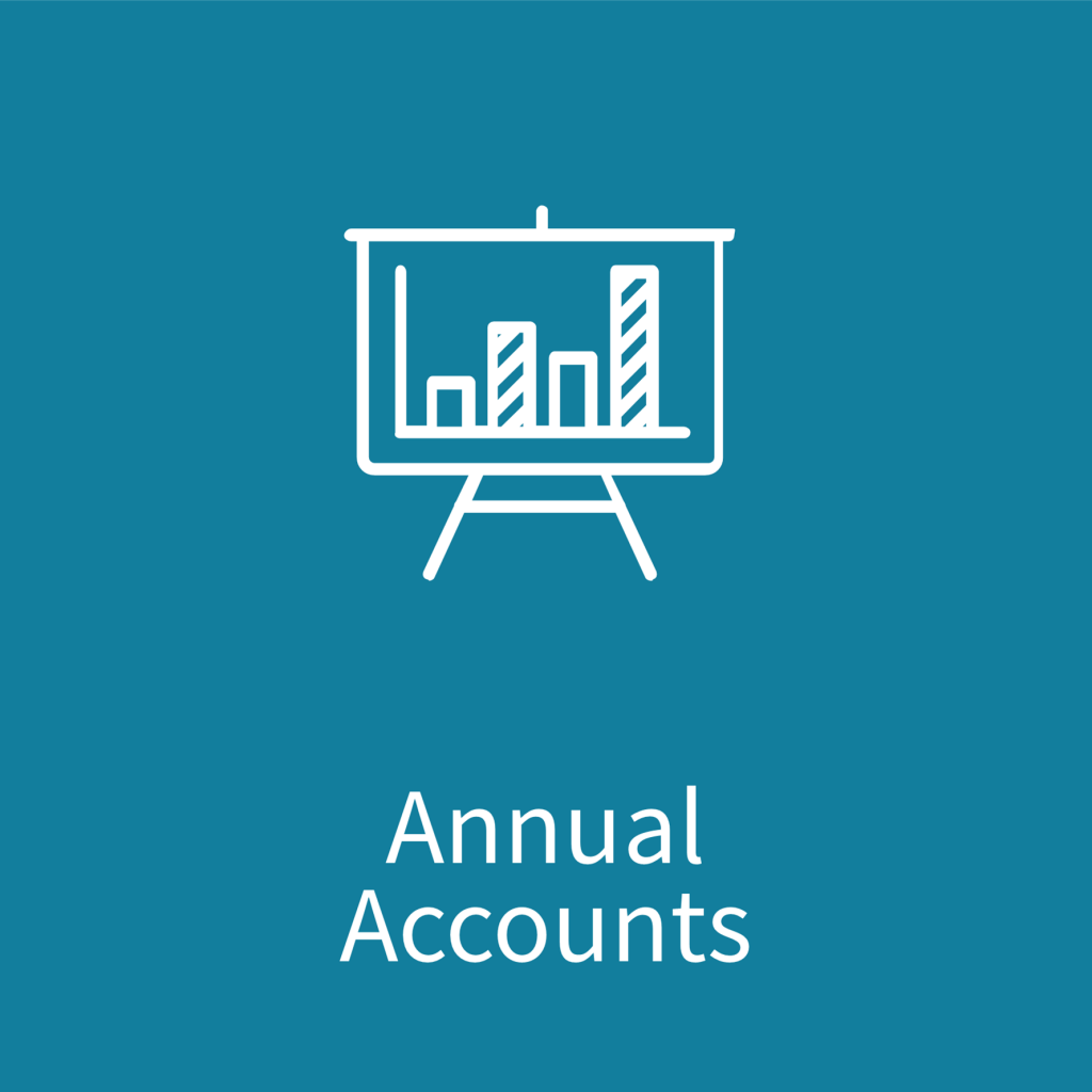 Annual Accounts Synergee