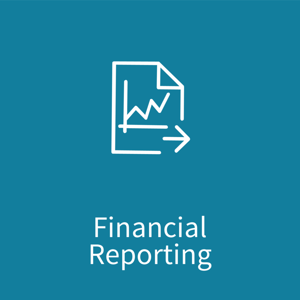 Financial Reporting Synergee