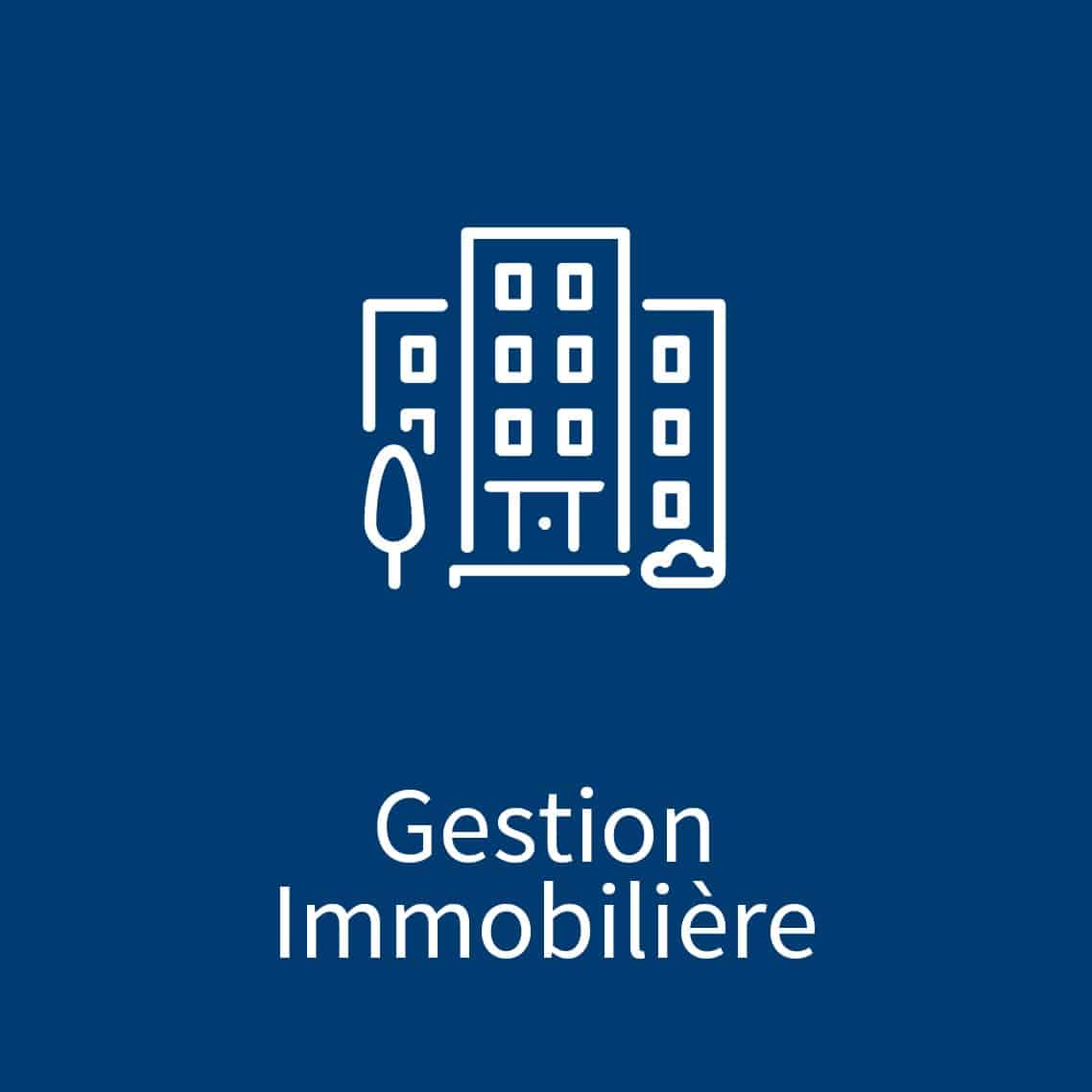 Gestion Immobilière et IFRS 16 de Synergee