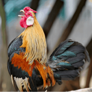 LES GAGNANTS DE LA XXIVème EDITION DES MAPIC AWARDS : 3 entreprises française !